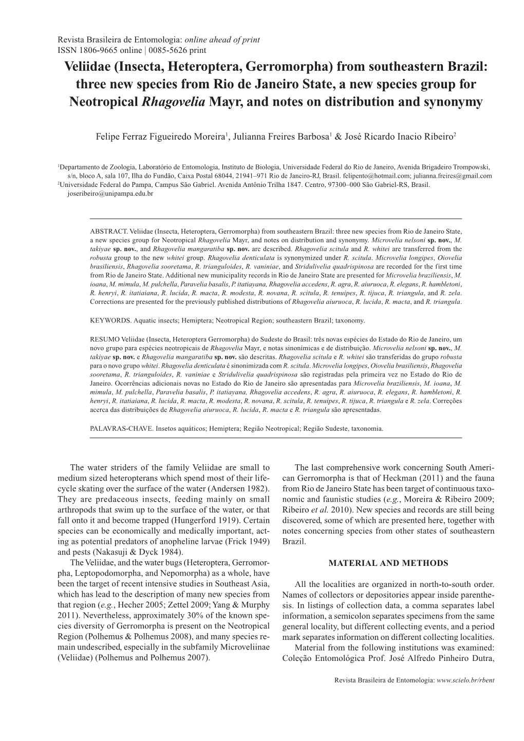 From Southeastern Brazil: Three New Species from Rio De Janeiro State, a New Species Group for Neotropical Rhagovelia Mayr, and Notes on Distribution and Synonymy