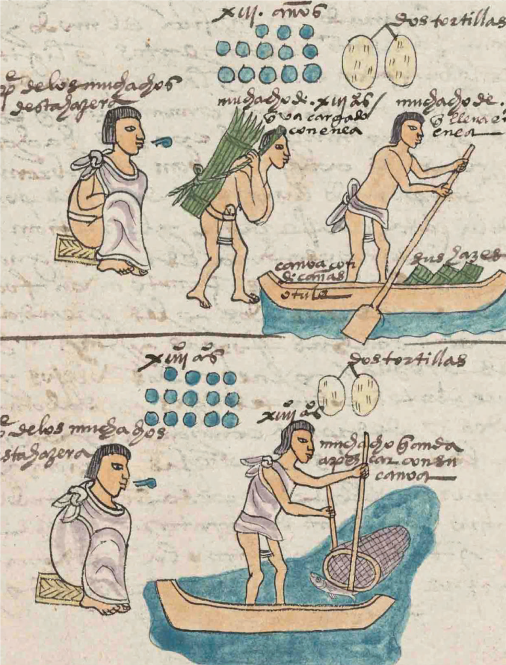Translating the Codex Mendoza Daniela Bleichmar