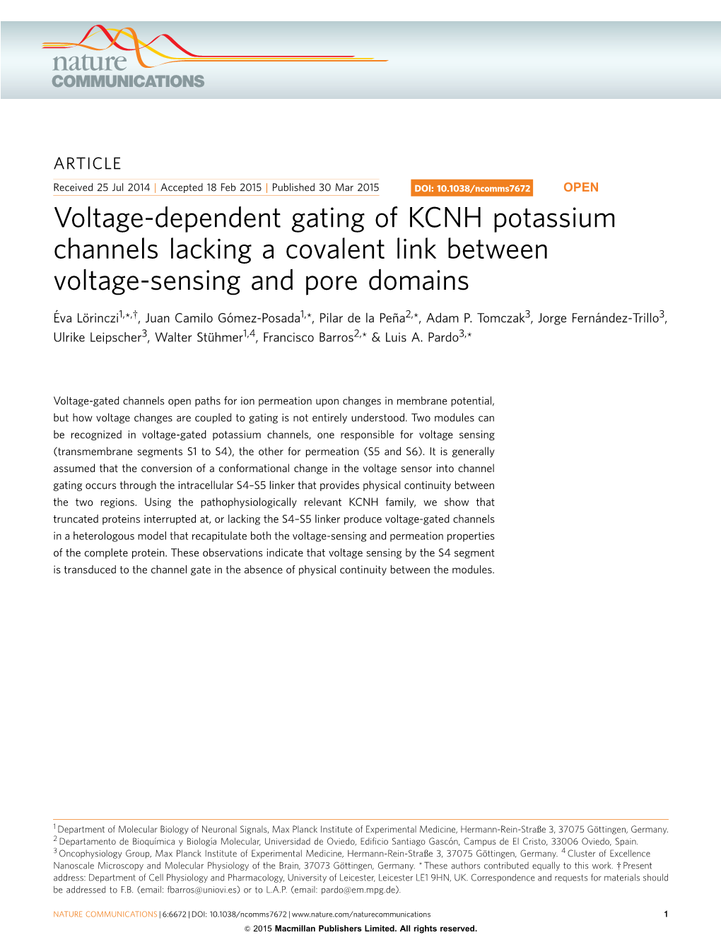 Voltage-Dependent Gating of KCNH Potassium Channels Lacking a Covalent Link Between Voltage-Sensing and Pore Domains