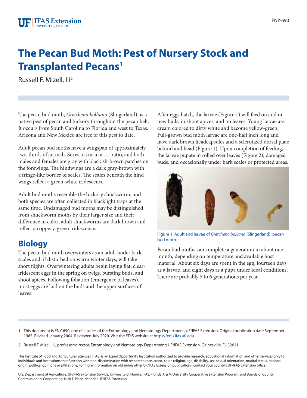 The Pecan Bud Moth: Pest of Nursery Stock and Transplanted Pecans1 Russell F