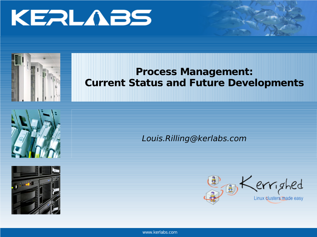 Process Management: Current Status and Future Developments