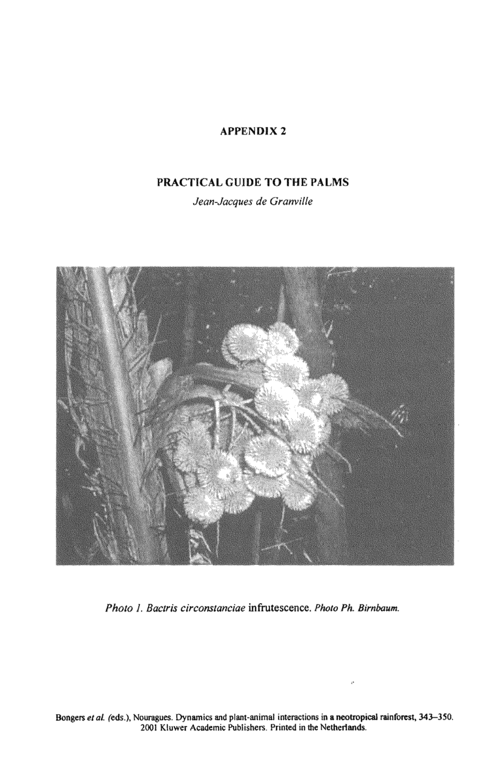 PRACTICAL GUIDE to the PALMS Jean-Jacques De Granville