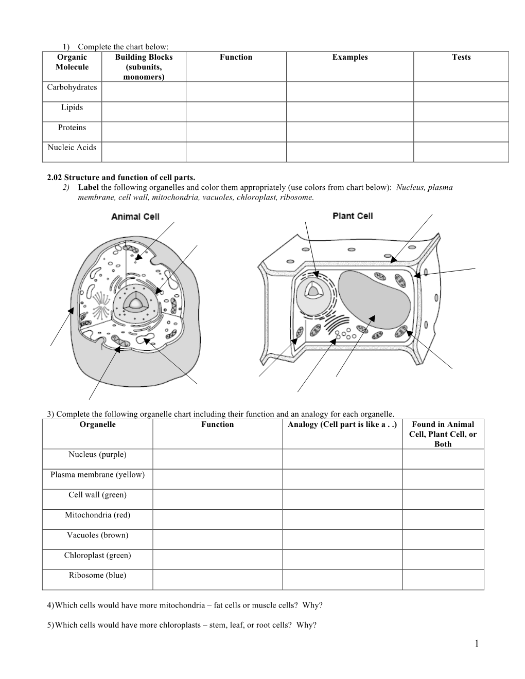 (Subunits, Monomers) Function Examples Tests Carbohydrates Lipids