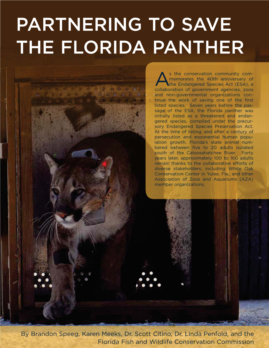 Partnering to Save the Florida Panther