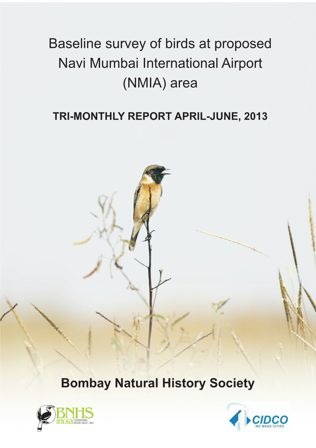 Baseline Survey of Birds at Proposed Navi Mumbai International Airport (NMIA) Area