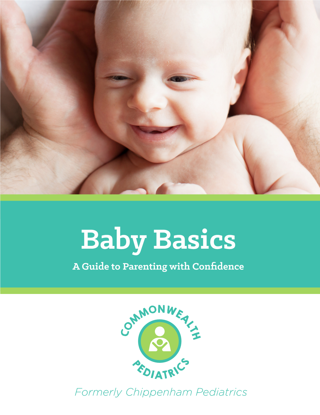 Baby Basics Horizontal Signature Lockup a Guide to Parenting with Confidence