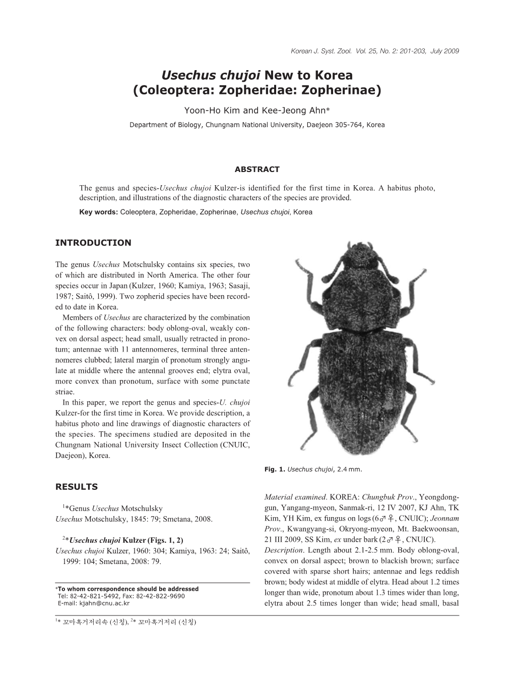 Usechus Chujoi New to Korea (Coleoptera: Zopheridae: Zopherinae)