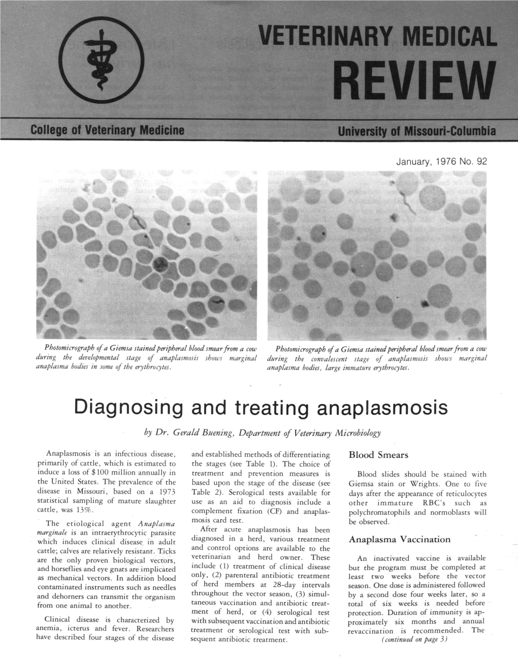 Diagnosing and Treating Anaplasmosis