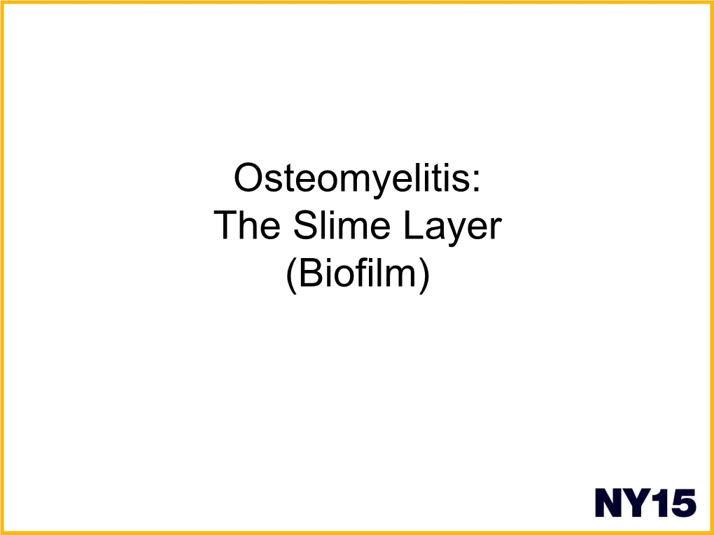 Osteomyelitis: the Slime Layer (Biofilm) Overview