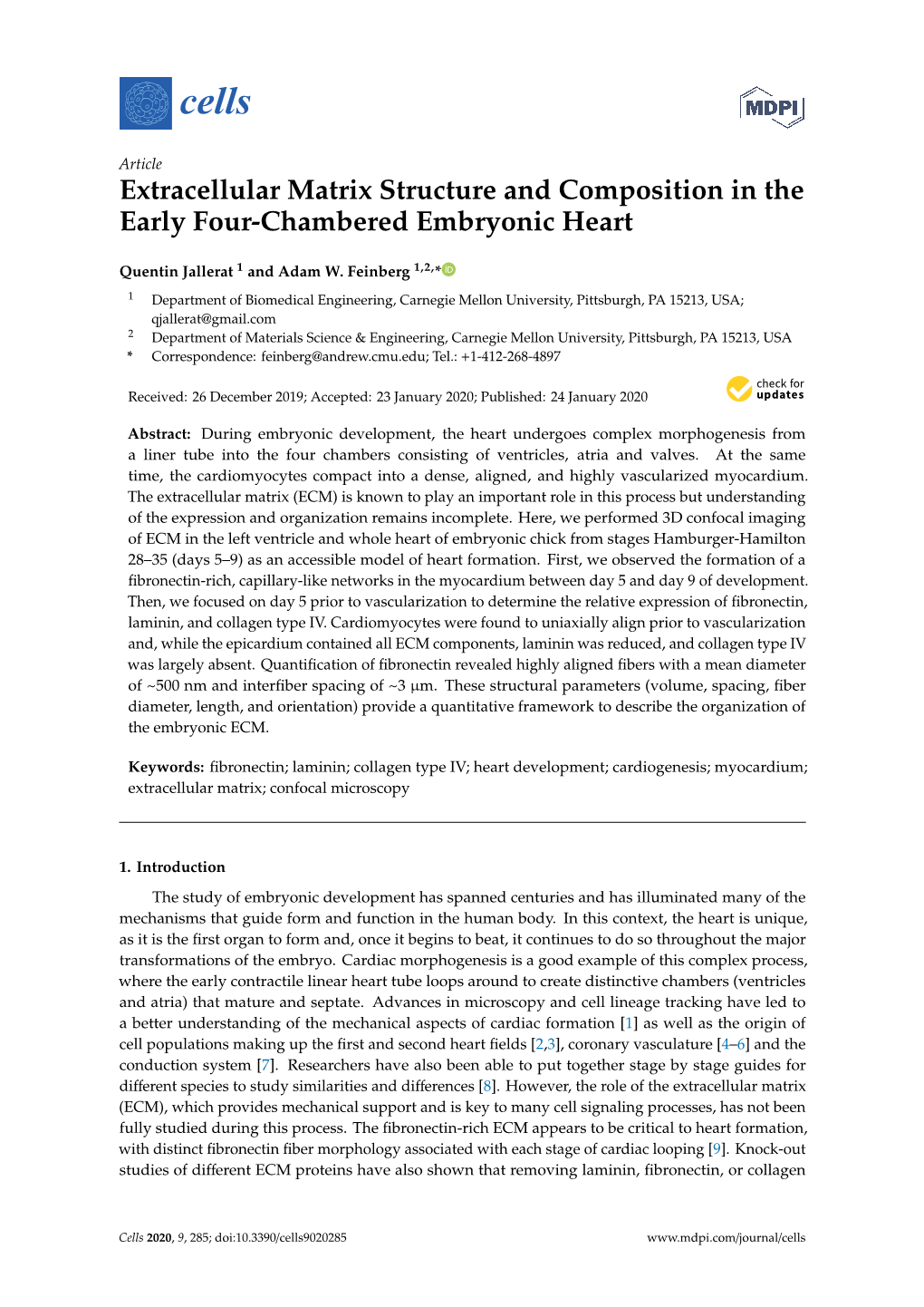 Extracellular Matrix Structure and Composition in the Early Four-Chambered Embryonic Heart