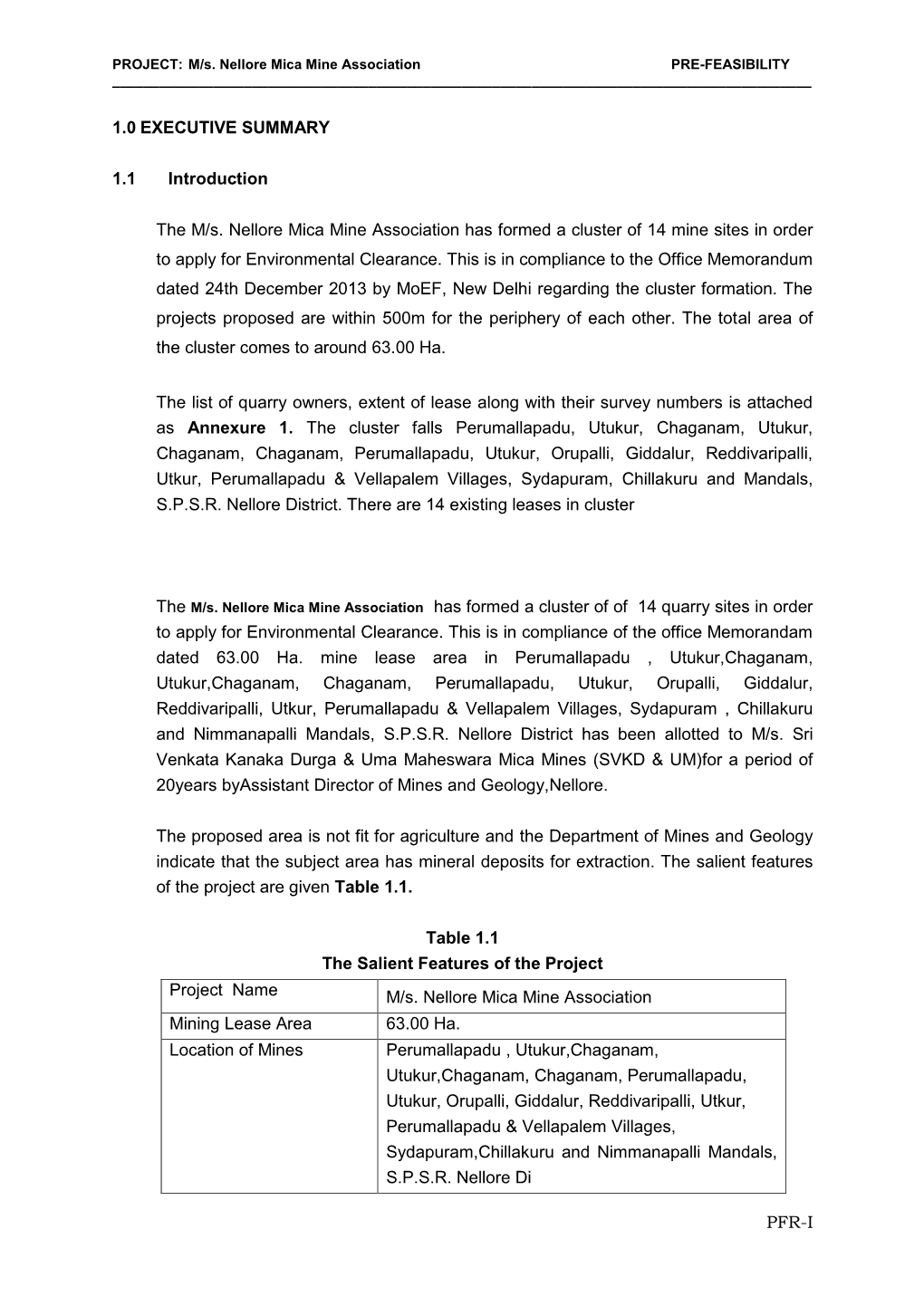 PFR-I 1.0 EXECUTIVE SUMMARY 1.1 Introduction the M/S. Nellore Mica