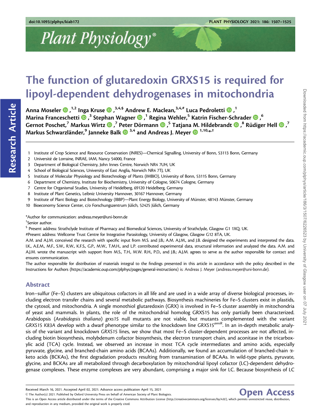 The Function of Glutaredoxin GRXS15 Is Required for Lipoyl-Dependent