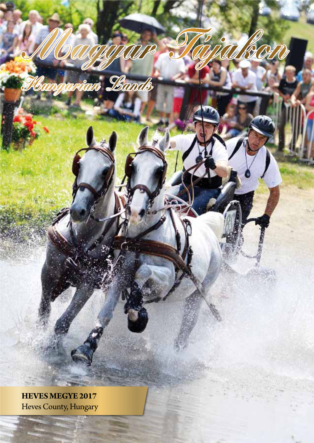 HEVES MEGYE 2017 Heves County, Hungary Robert Bosch Elektronika Kft