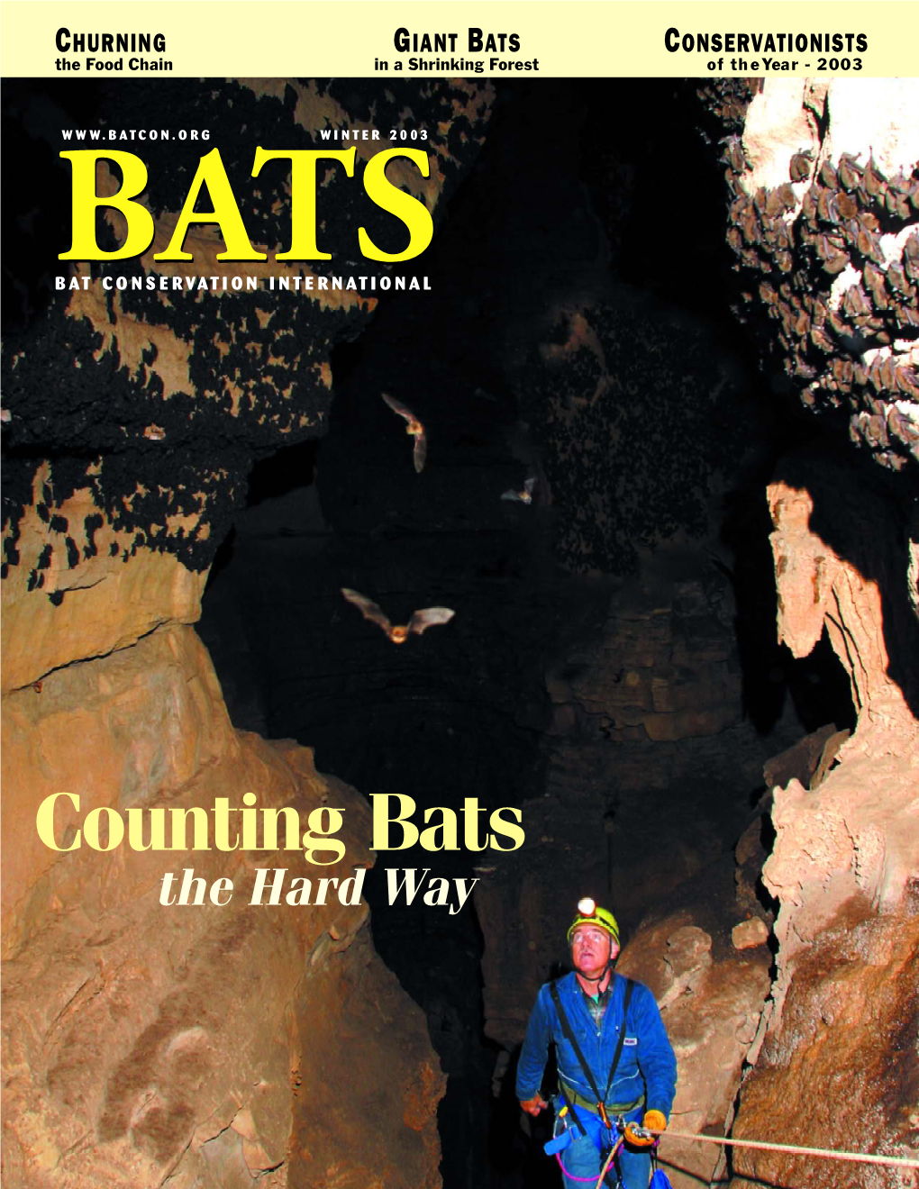 Counting Bats the Hard Way P.O