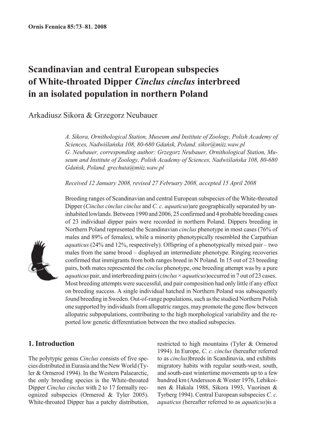 Scandinavian and Central European Subspecies of White-Throated Dipper Cinclus Cinclus Interbreed in an Isolated Population in Northern Poland