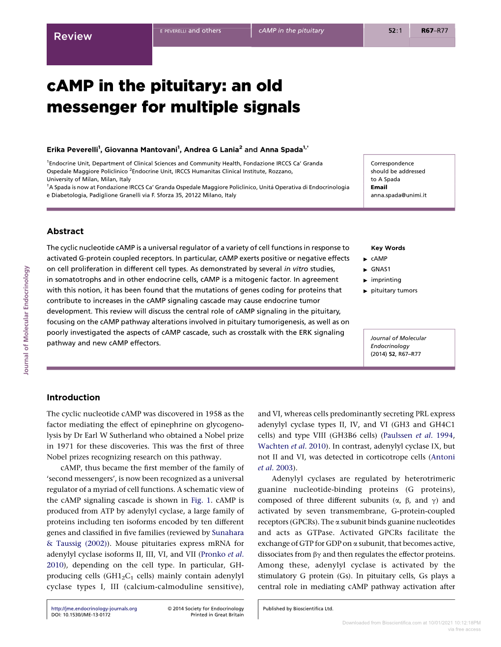 Camp in the Pituitary: an Old Messenger for Multiple Signals