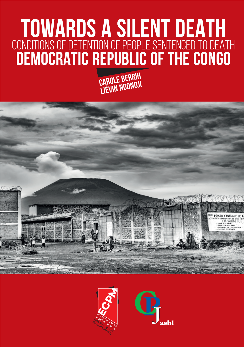 Abolition of the Death Penalty in the Draft Congolese Criminal Code, Suggesting Major Developments in This Direction