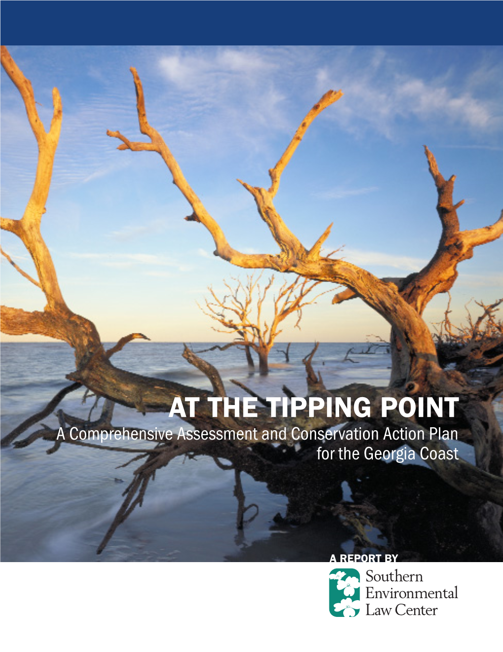 AT the TIPPING POINT a Comprehensive Assessment and Conservation Action Plan for the Georgia Coast