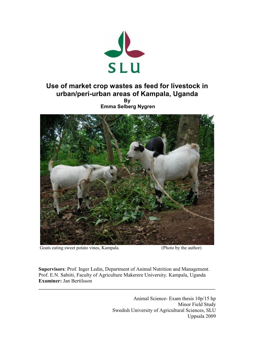 Use of Market Crop Wastes As Feed for Livestock in Urban/Peri-Urban Areas of Kampala, Uganda by Emma Selberg Nygren
