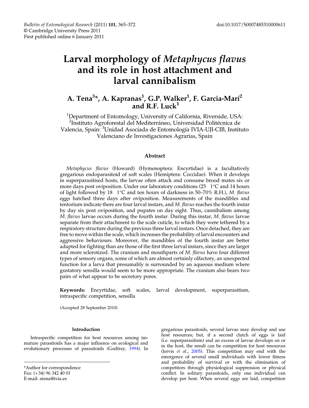 Larval Morphology of Metaphycus Flavus and Its Role in Host Attachment and Larval Cannibalism