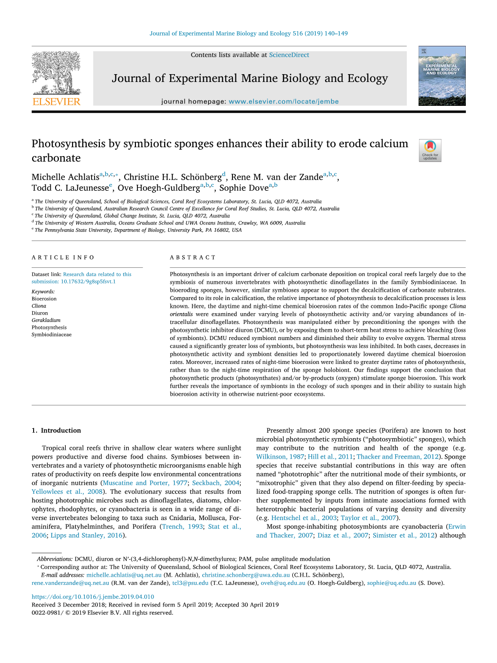 Photosynthesis by Symbiotic Sponges Enhances Their Ability to Erode Calcium Carbonate