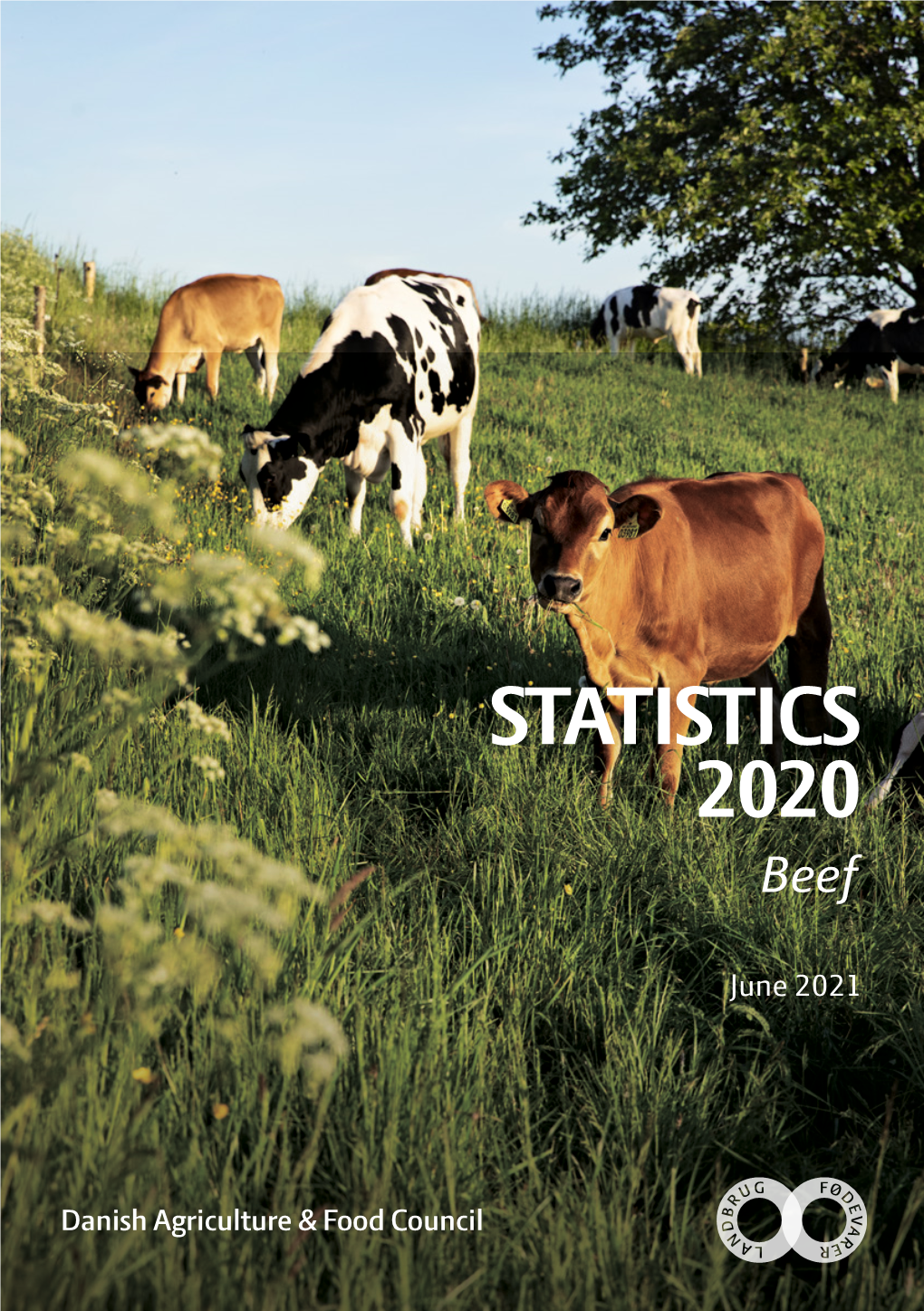 STATISTICS 2020 Beef
