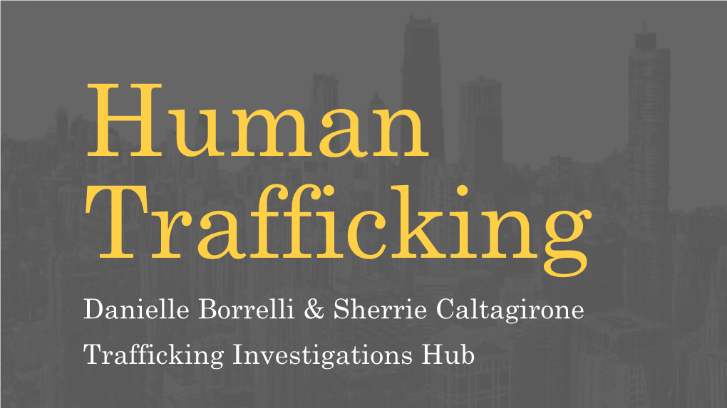 Danielle Borrelli & Sherrie Caltagirone Trafficking Investigations