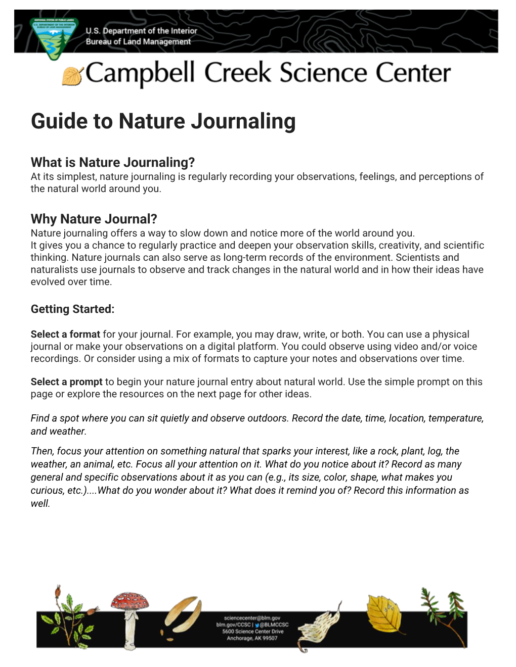 Guide to Nature Journaling