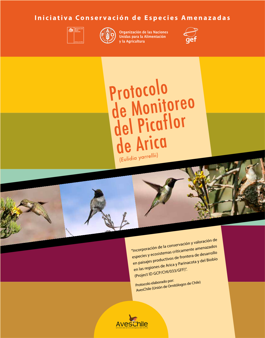 Manual Protocolo De Monitoreo Picaflor De Arica