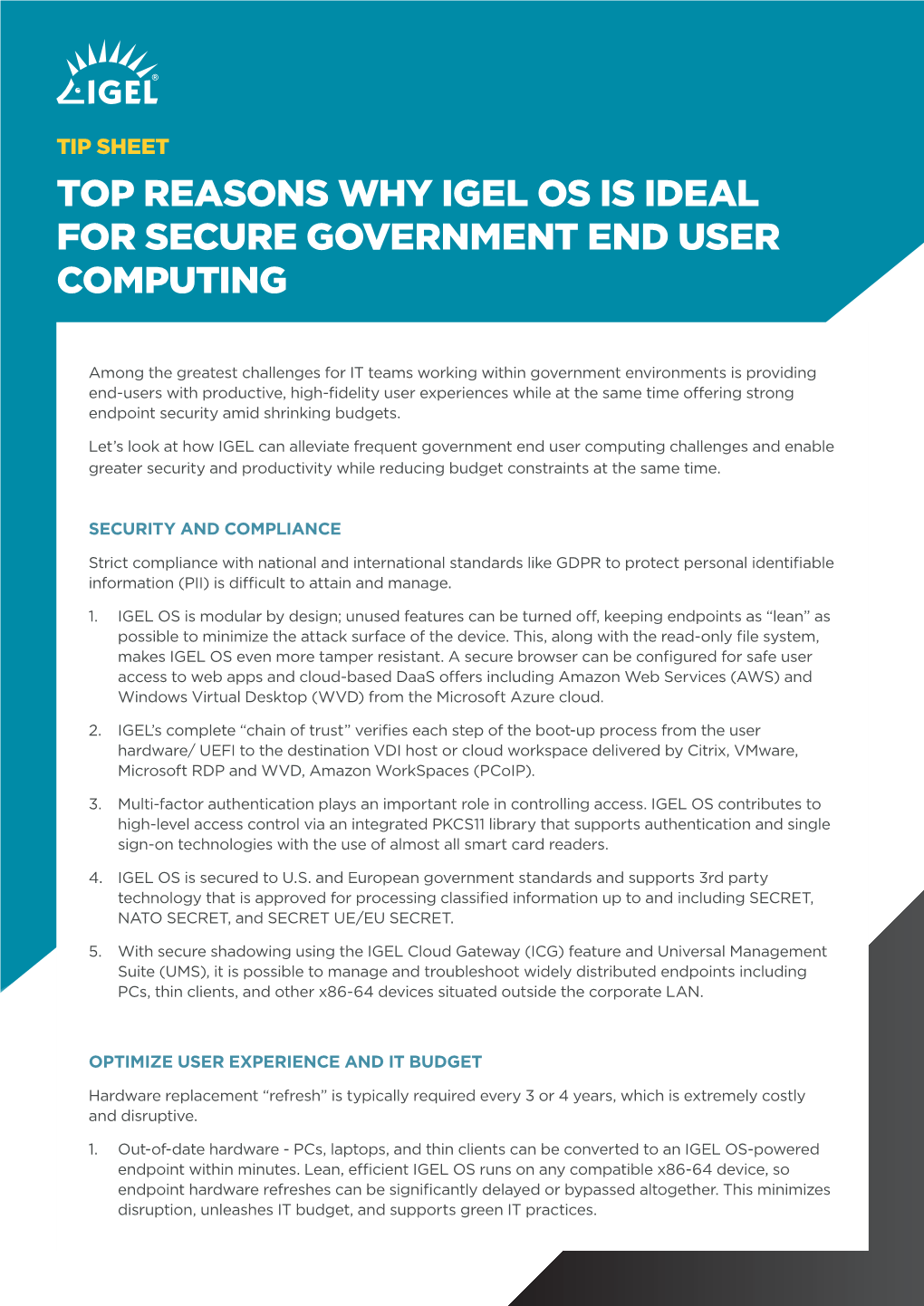 Top Reasons Why Igel Os Is Ideal for Secure Government End User Computing