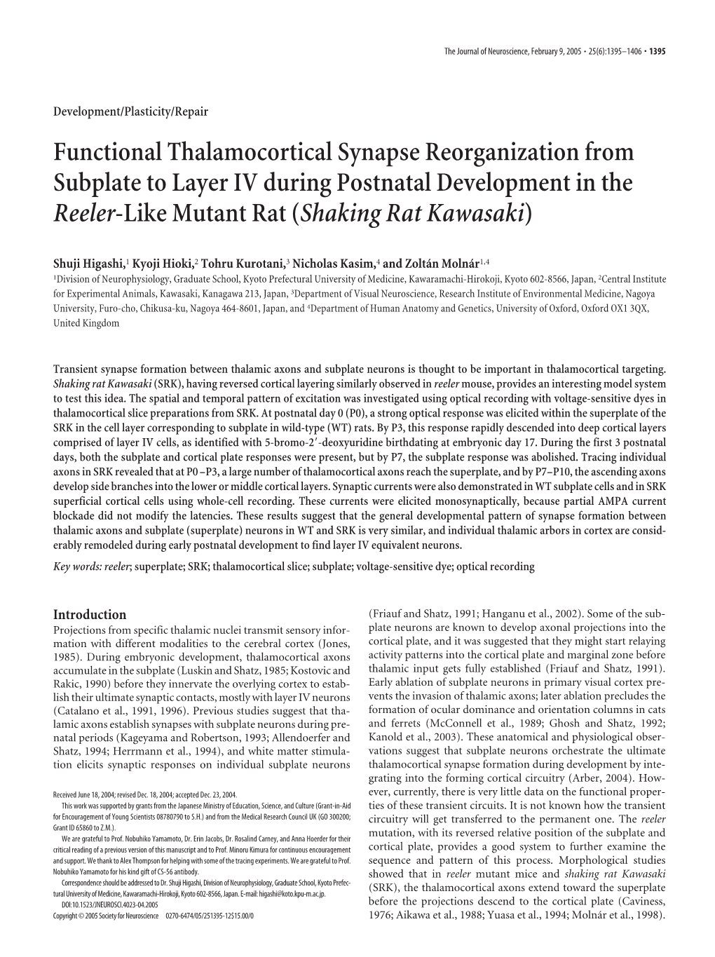 Functional Thalamocortical Synapse Reorganization from Subplate to Layer IV During Postnatal Development in the Reeler-Like Mutant Rat (Shaking Rat Kawasaki)