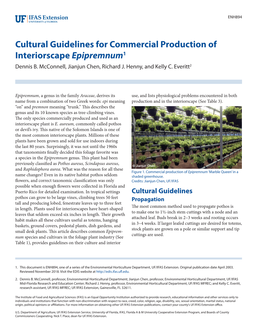 Cultural Guidelines for Commercial Production of Interiorscape Epipremnum1 Dennis B