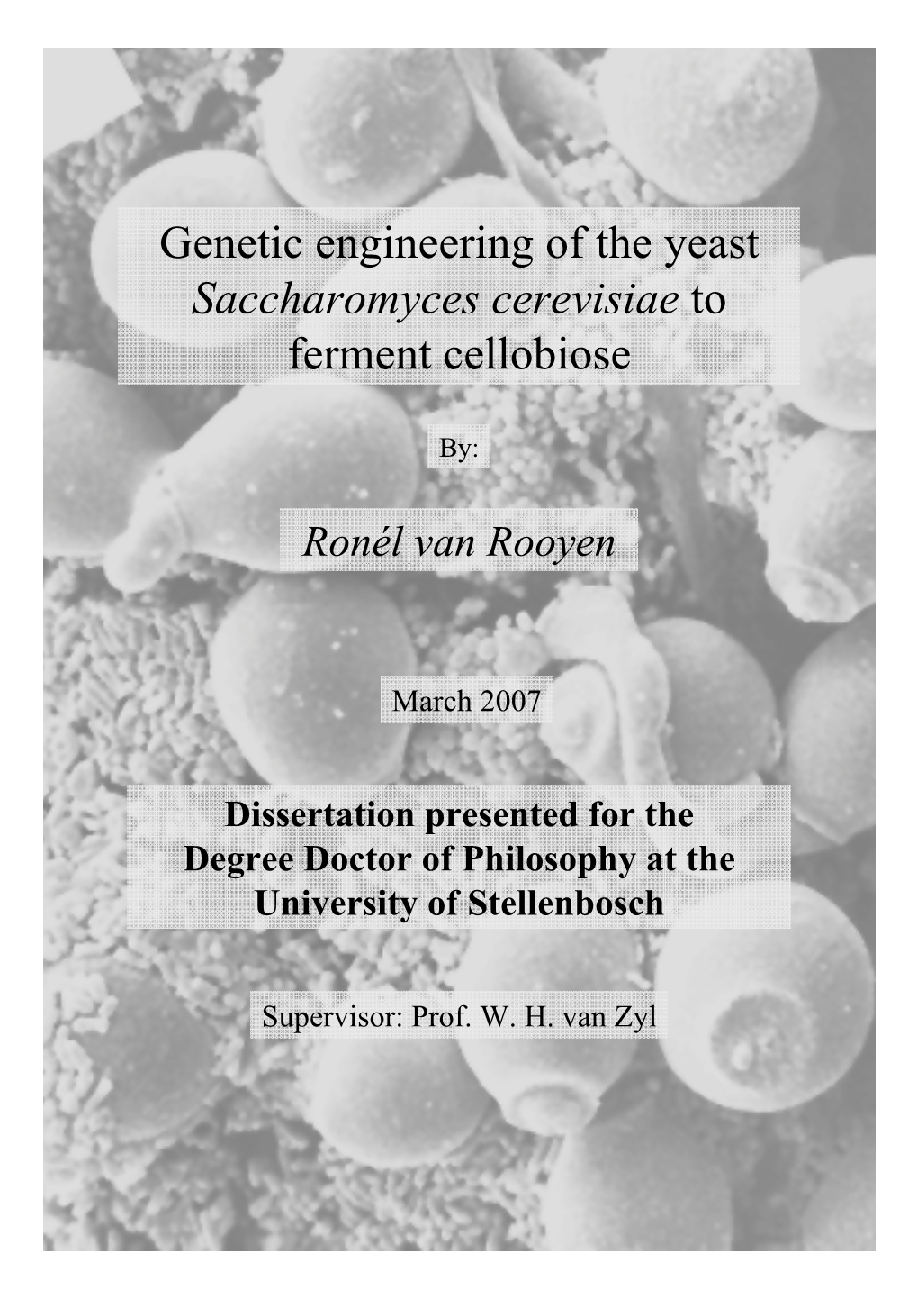 Genetic Engineering of the Yeast Saccharomyces Cerevisiae to Ferment Cellobiose