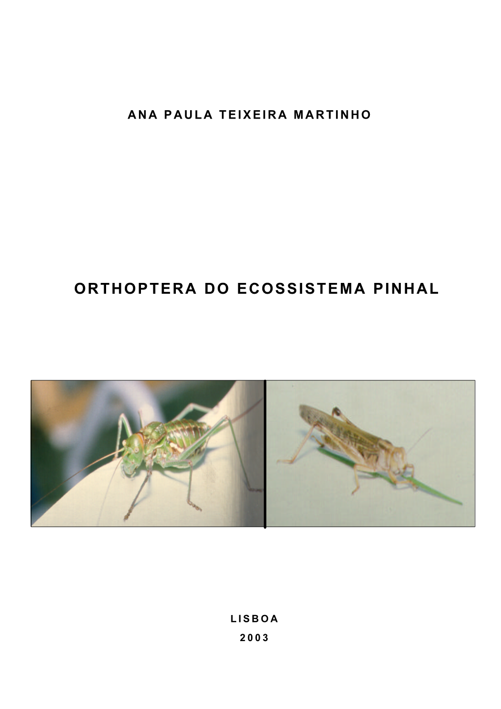Orthoptera Do Ecossistema Pinhal