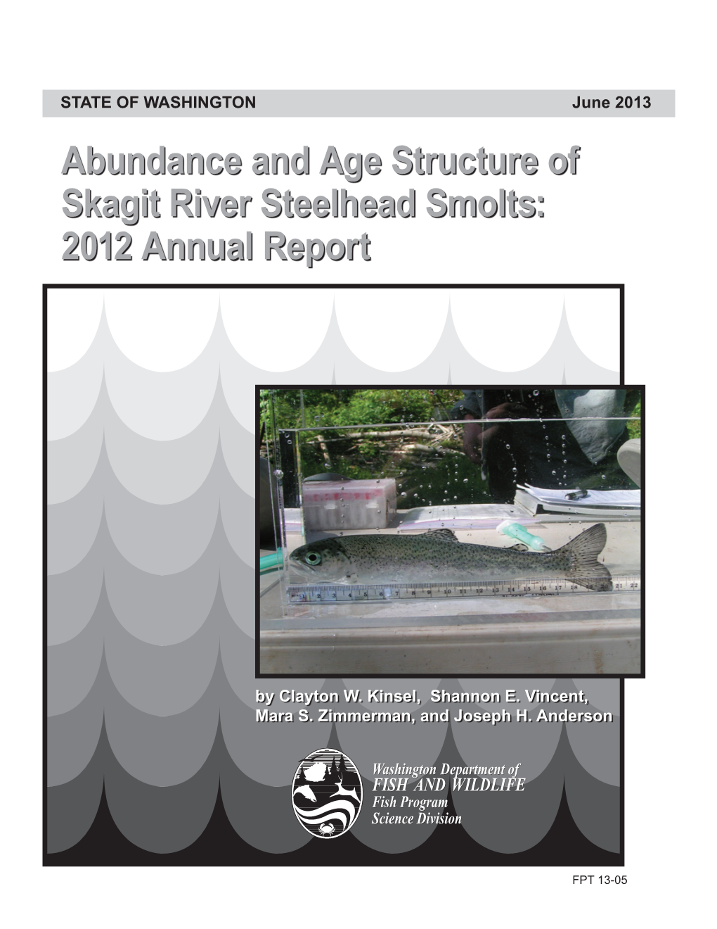 Abundance and Age Structure of Skagit River Steelhead Smolts: 2012 Annual Report