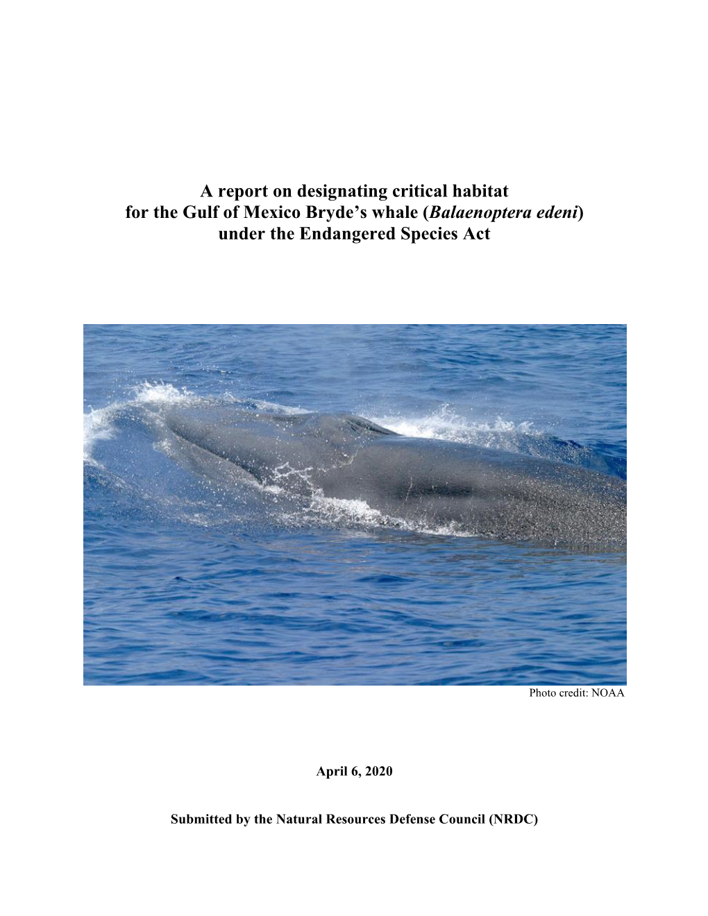 A Report on Designating Critical Habitat for the Gulf of Mexico Bryde's Whale