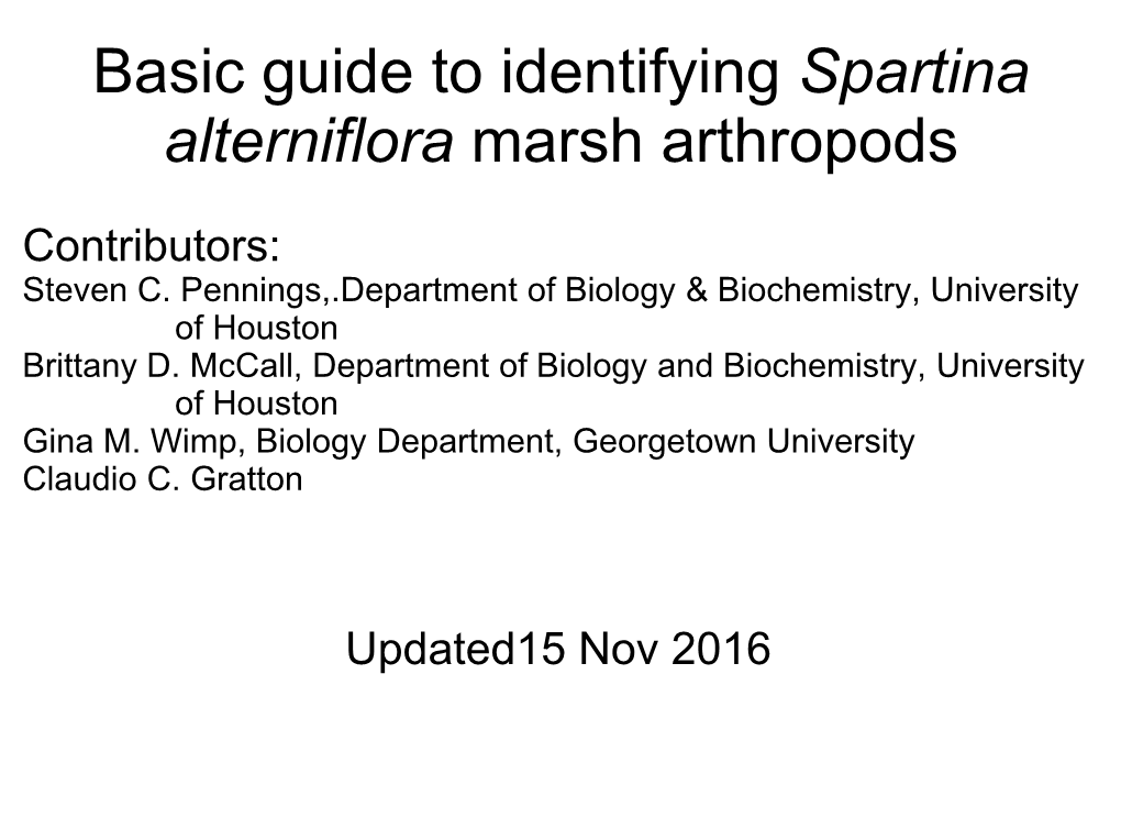Basic Guide to Identifying Spartina Marsh Arthropods