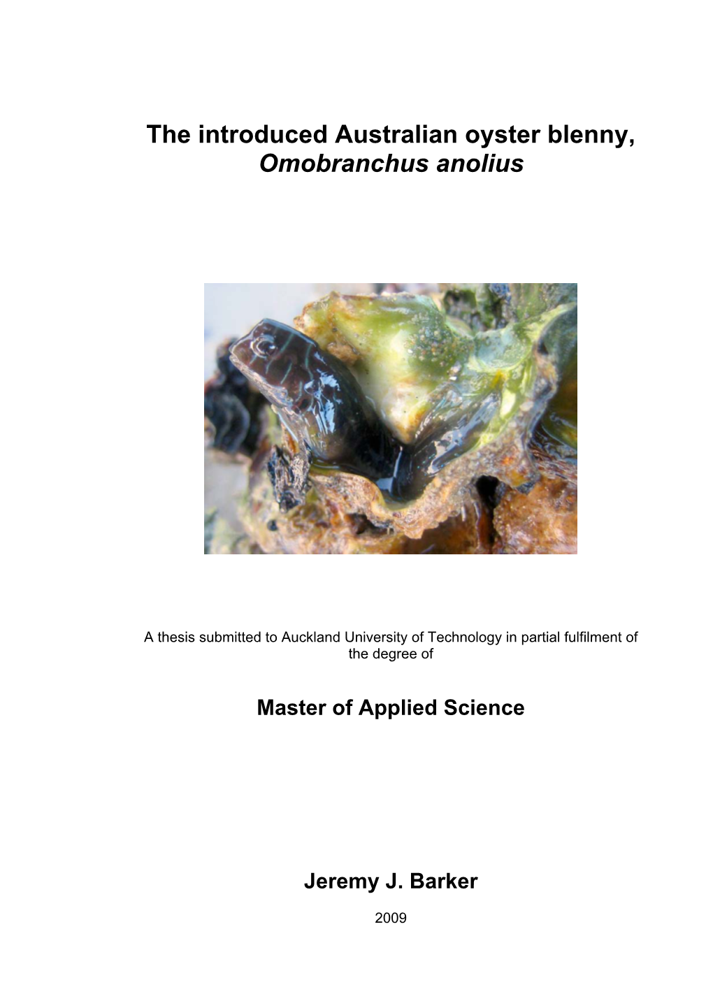 The Introduced Australian Oyster Blenny, Omobranchus Anolius