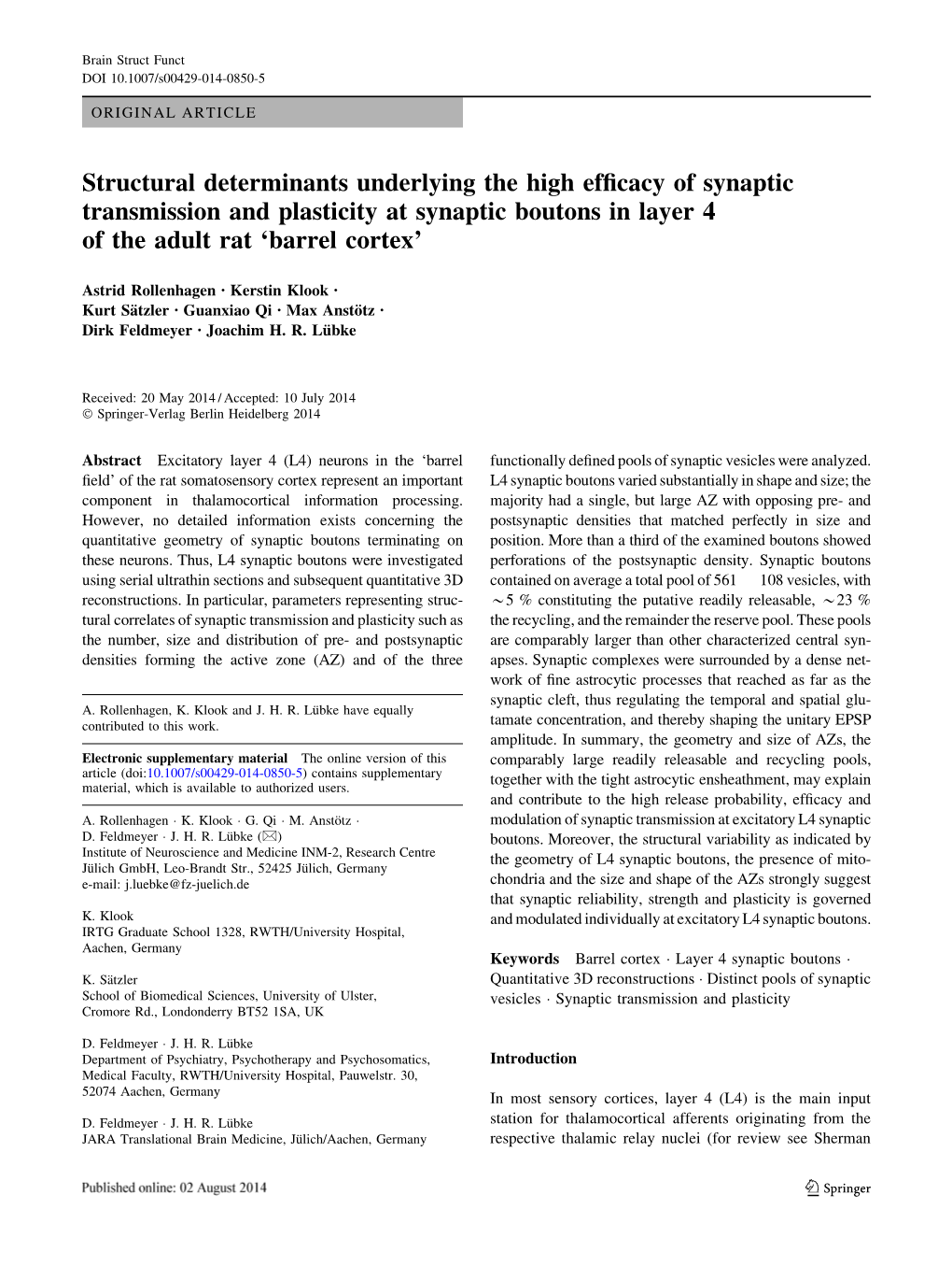 Structural Determinants Underlying the High Efficacy of Synaptic Transmission and Plasticity at Synaptic Boutons in Layer 4 of T