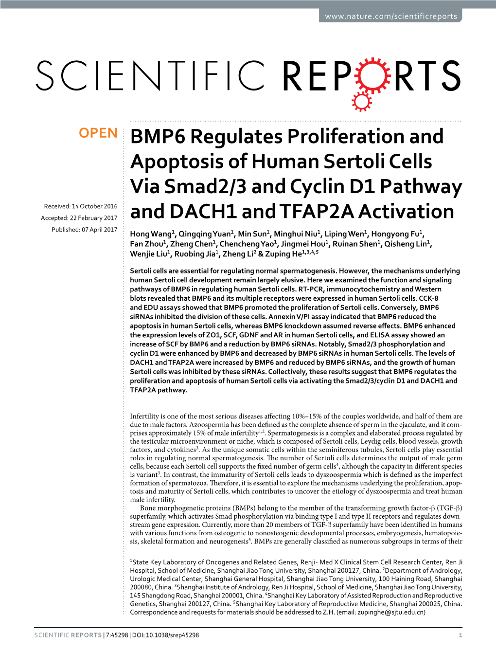 BMP6 Regulates Proliferation and Apoptosis of Human Sertoli Cells