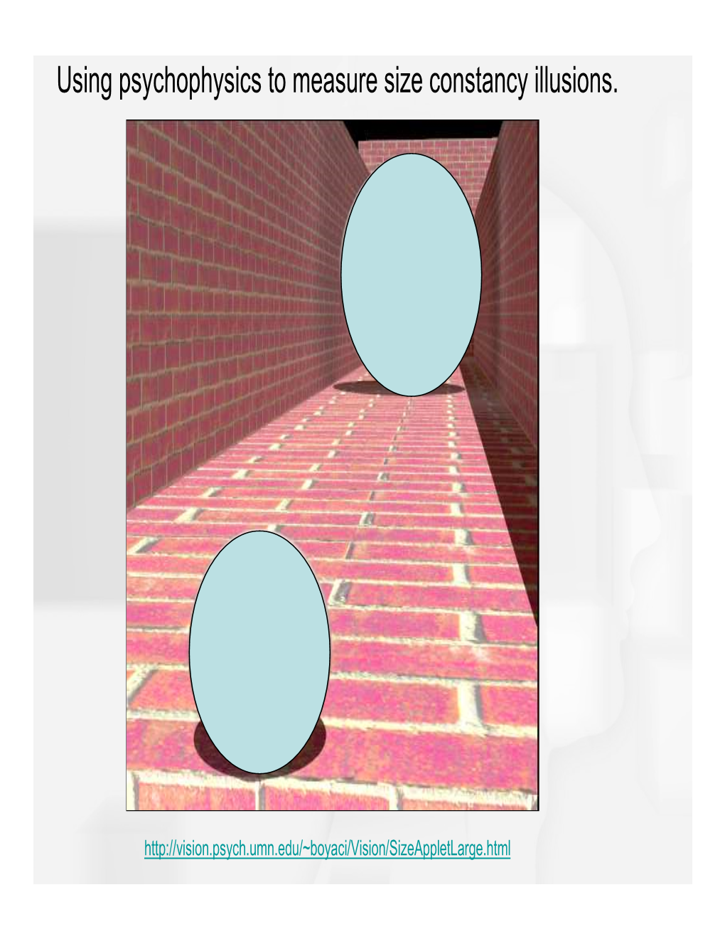 Using Psychophysics to Measure Size Constancy Illusions