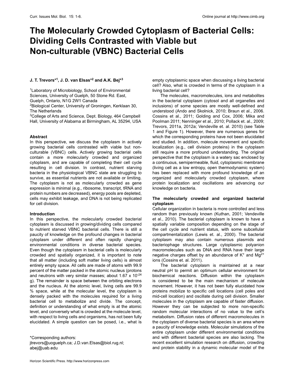 The Molecularly Crowded Cytoplasm of Bacterial Cells: Dividing Cells Contrasted with Viable but Non-Culturable (VBNC) Bacterial Cells