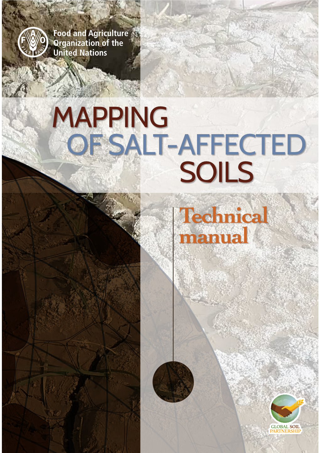 Mapping of Salt-Affected Soils – Technical Manual