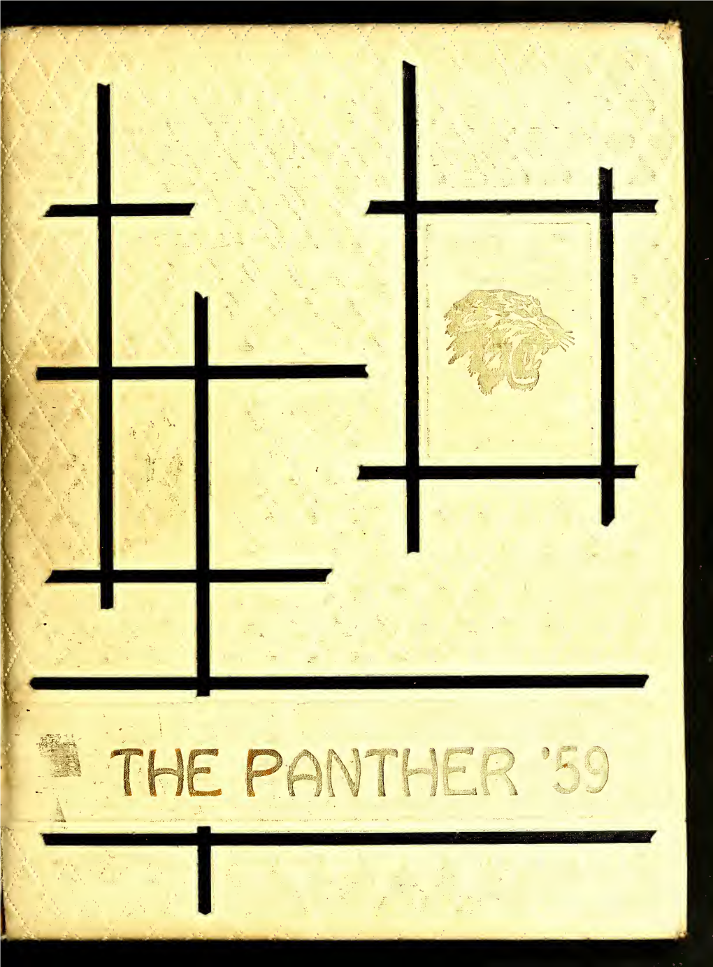 The Panther Prowls