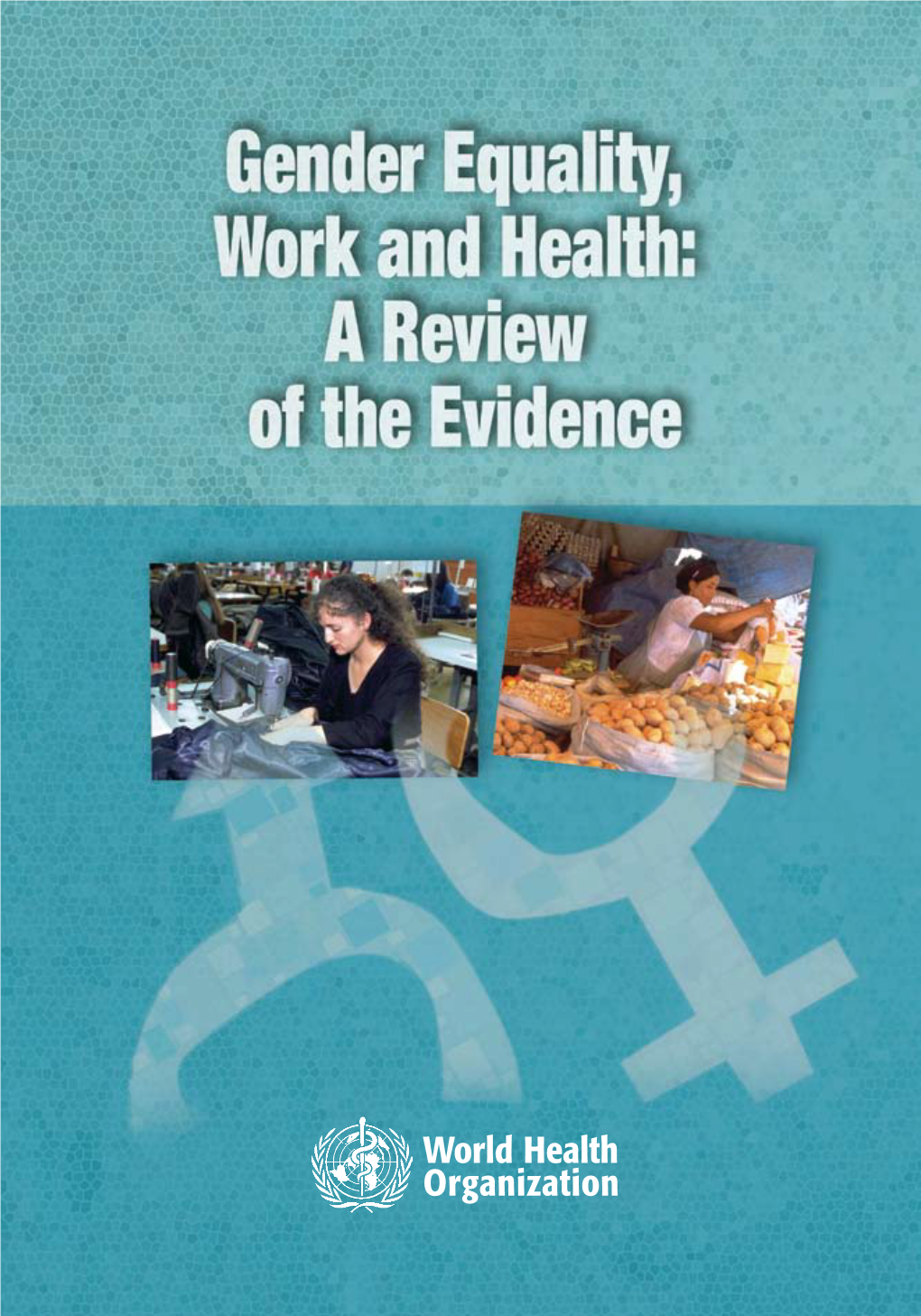 Gender Equality, Work and Health : a Review of the Evidence