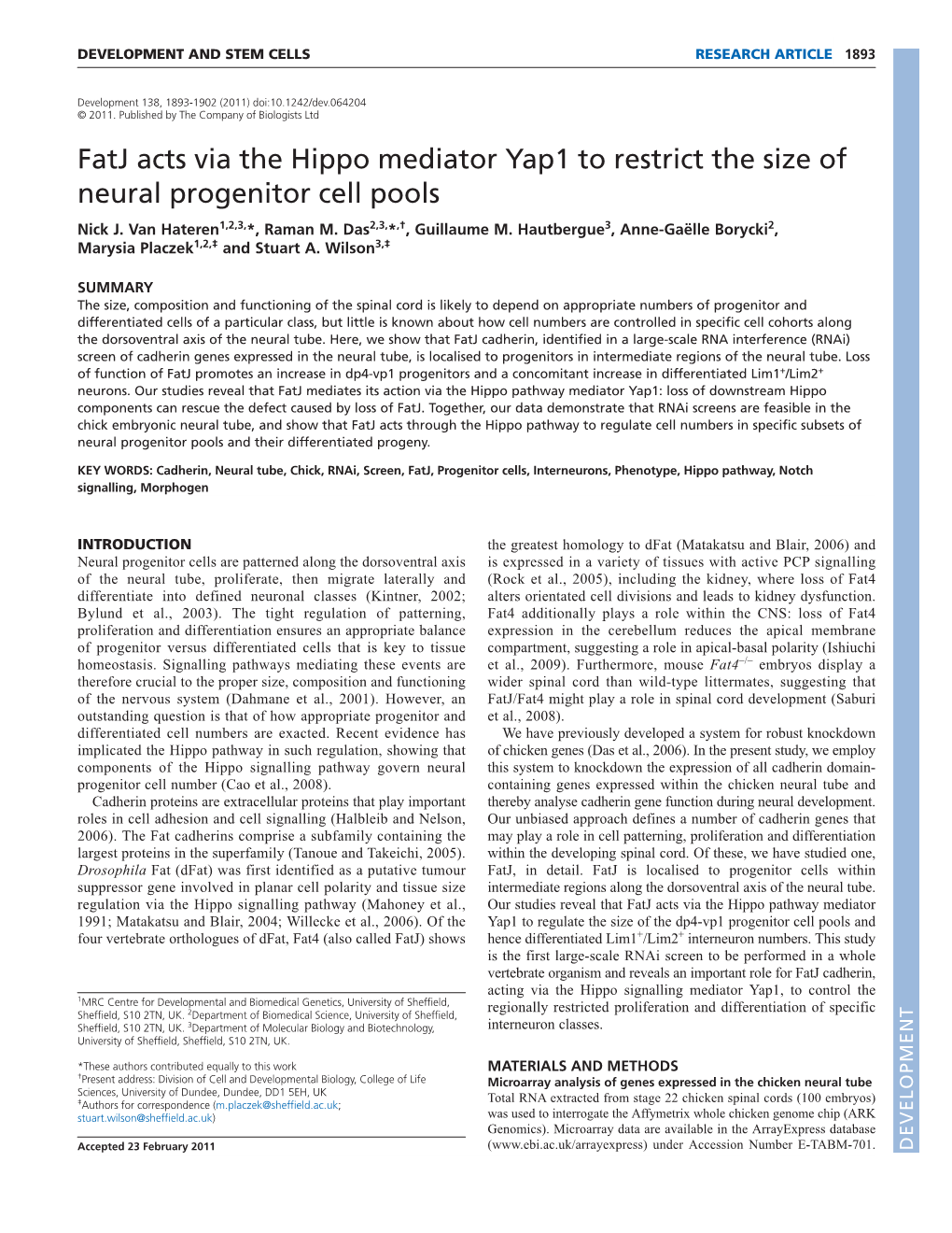 Fatj Acts Via the Hippo Mediator Yap1 to Restrict the Size of Neural Progenitor Cell Pools Nick J