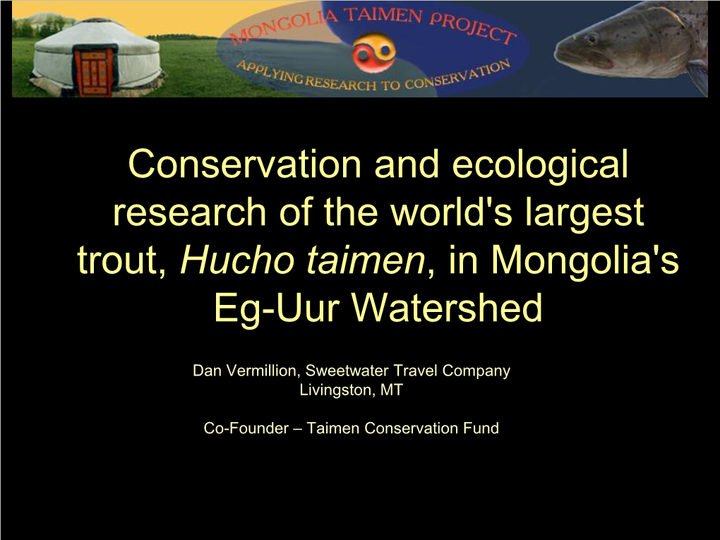 Hucho Taimen, in Mongolia's Eg-Uur Watershed