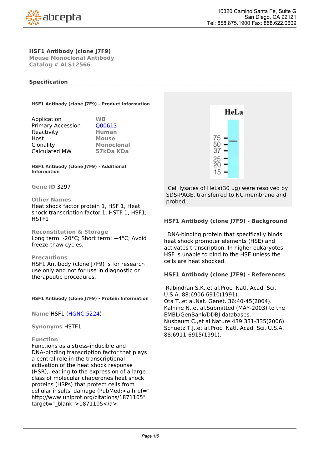 HSF1 Antibody (Clone J7F9) Mouse Monoclonal Antibody Catalog # ALS12566