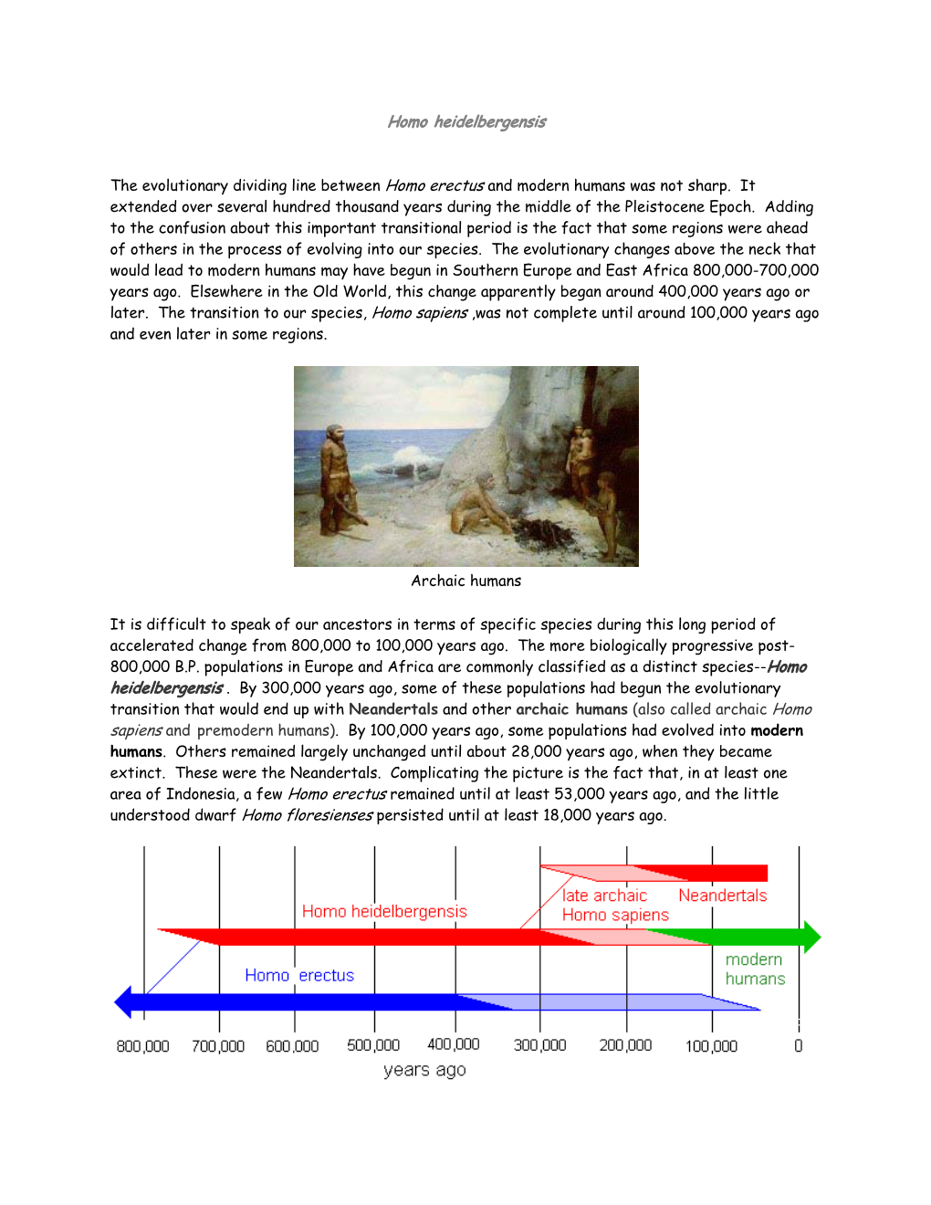 Homo Heidelbergensis and Modern Humans