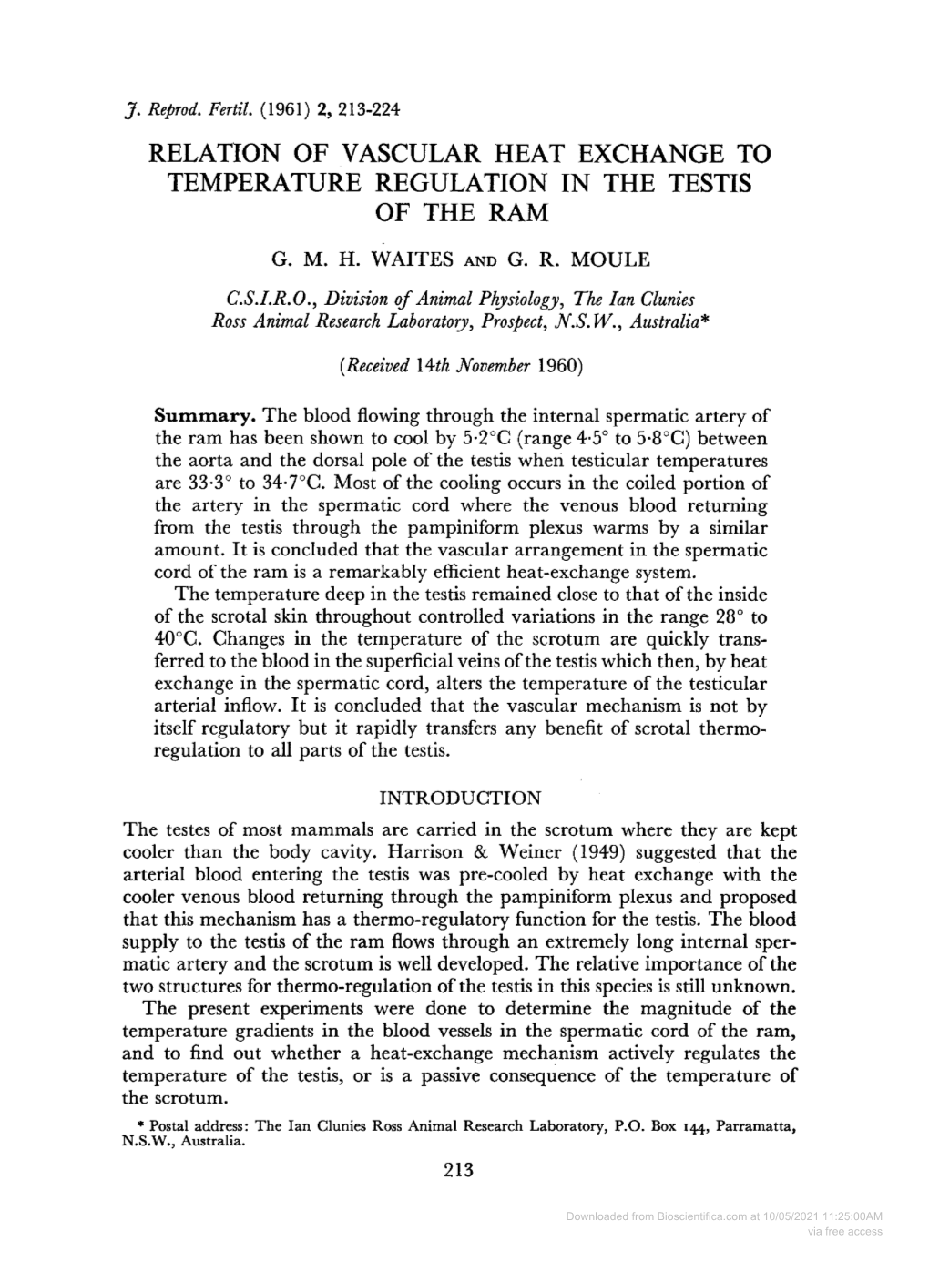 Relation of Vascular Heat Exchange to Temperature Regulation in the Testis of the Ram